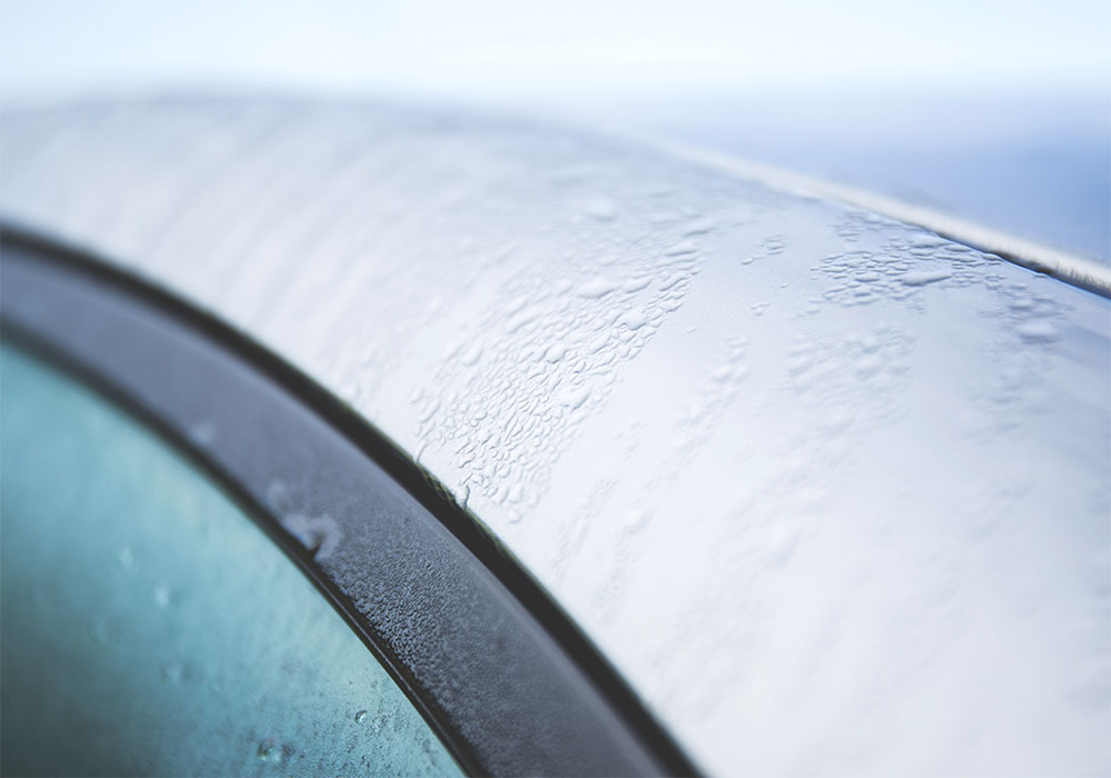 imagen del carrousel 6